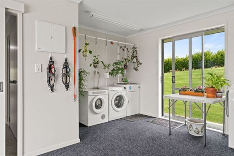 Photo of property in 23 Cotton Lane, Mangawhai, Wellsford, 0975
