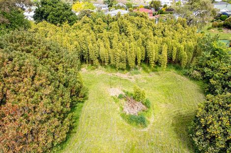 Photo of property in 19 Quick Avenue, Aramoho, Whanganui, 4500