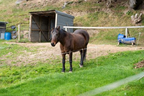 Photo of property in 477 Finlayson Road, Taieri Beach, Taieri Mouth, 9091