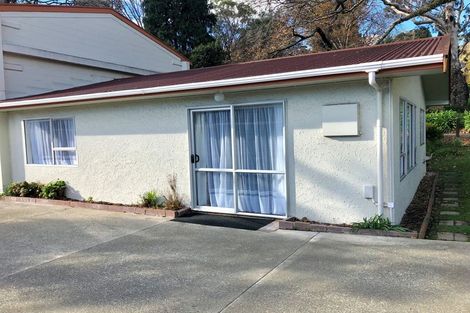 Photo of property in 1/35 Van Diemen Street, Nelson South, Nelson, 7010