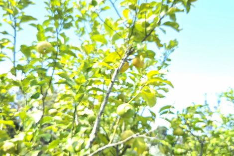 Photo of property in 314f Waipapa Road, Waipapa, 0230