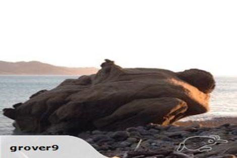 Photo of property in 502 Waipiro Road, Waipiro, Tokomaru Bay, 4079