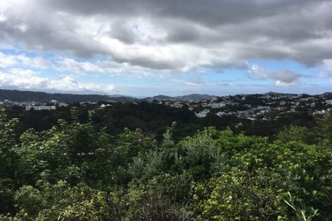 Photo of property in 60 Orangi Kaupapa Road, Northland, Wellington, 6012