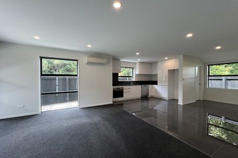 Photo of property in 16 Shingle Street, Sydenham, Christchurch, 8023