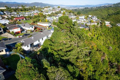 Photo of property in 36 Timaru Grove, Kelson, Lower Hutt, 5010