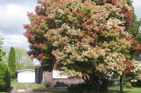 Photo of property in 3 Tumene Drive, Owhata, Rotorua, 3010