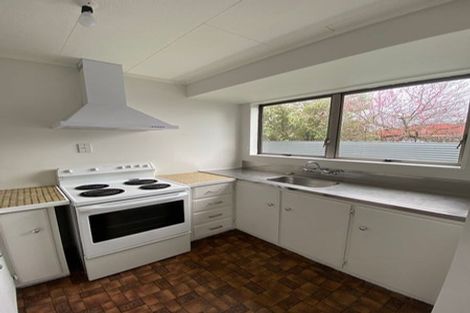 Photo of property in 113 Featherston Street, Palmerston North, 4410
