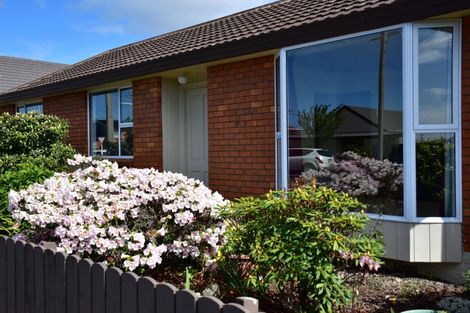 Photo of property in 8 Hardy Street, Saint Kilda, Dunedin, 9012