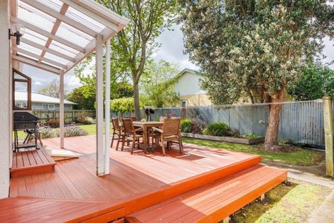 Photo of property in 27 Winchester Street, Awapuni, Palmerston North, 4412