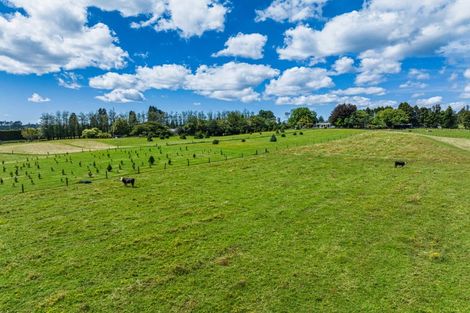 Photo of property in 1080 Omanawa Road, Omanawa, Tauranga, 3171