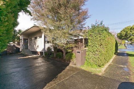 Photo of property in 12a Allendale Road, Mount Albert, Auckland, 1025