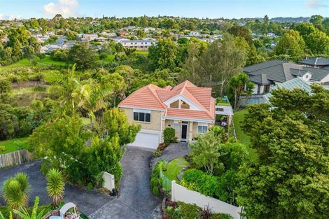 Photo of property in 31 Jubaea Place, Henderson, Auckland, 0610