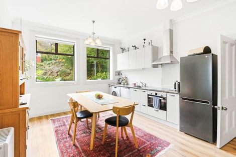 Photo of property in 41 Littlebourne Road, Roslyn, Dunedin, 9010