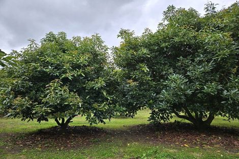 Photo of property in 400 Te Matai Road, Te Puke, 3188