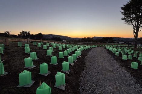 Photo of property in 36 Lot Rc, 195 Wakari Road, Helensburgh, Dunedin, 9010