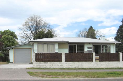 Photo of property in 187b Tamamutu Street, Taupo, 3330