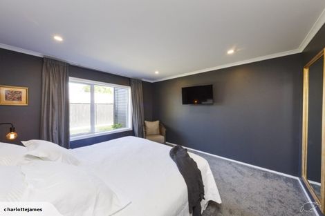 Photo of property in 162a Fitzherbert Avenue, West End, Palmerston North, 4410