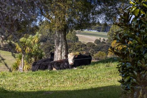 Photo of property in 6 Hawkens Road, Makarau, Warkworth, 0981