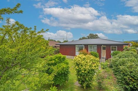 Photo of property in 91 Long Melford Road, Awapuni, Palmerston North, 4412