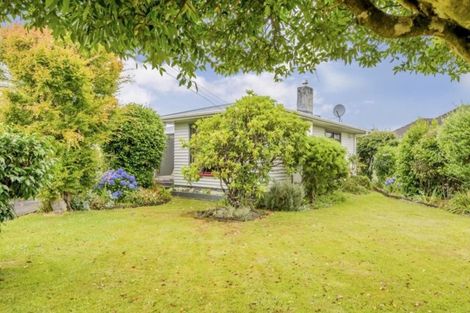 Photo of property in 158 Winchester Street, Levin, 5510