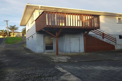 Photo of property in 53 Rogan Street, Mount Roskill, Auckland, 1041