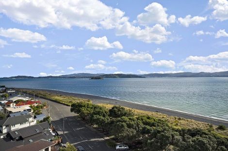 Photo of property in Rona House, 33 Rimu Street, Eastbourne, Lower Hutt, 5013