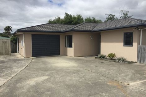 Photo of property in 49 Solomon Street, Brookfield, Tauranga, 3110