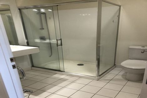 Photo of property in Luna Apartments, 4c/16 Burton Street, Grafton, Auckland, 1010
