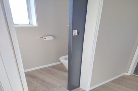 Photo of property in 10b Ropiha Street, Fitzroy, New Plymouth, 4312