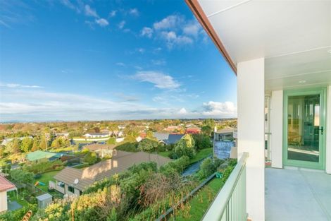 Photo of property in 38 Eclipse Rise, Flagstaff, Hamilton, 3210