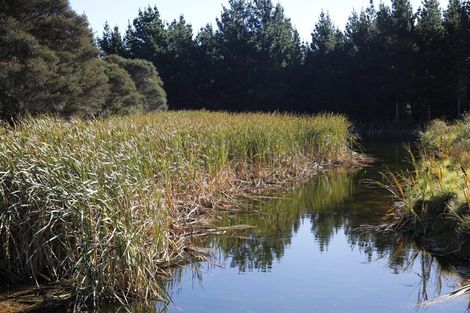 Photo of property in 4195 Masterton Castlepoint Road, Tinui, Masterton, 5889