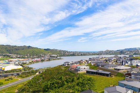 Photo of property in 111 John Burke Drive, Aotea, Porirua, 5024
