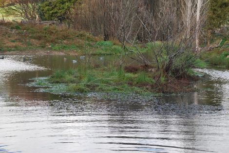 Photo of property in 113 Wayby Station Road, Wellsford, 0972