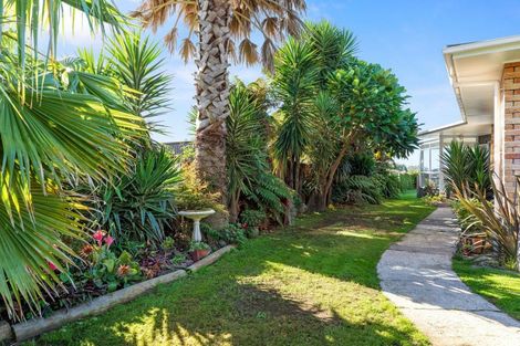Photo of property in 224 Plummers Point Road, Whakamarama, Tauranga, 3172