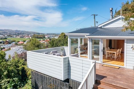 Photo of property in 60 Forbury Road, Forbury, Dunedin, 9012