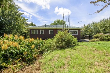 Photo of property in 46 Mountain Road, Henderson Valley, Auckland, 0612