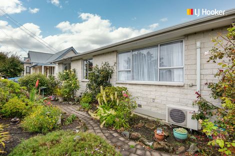 Photo of property in 13a Helena Street, Forbury, Dunedin, 9012
