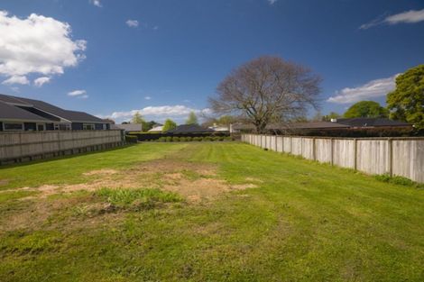 Photo of property in 91 Carmichael Road, Bethlehem, Tauranga, 3110