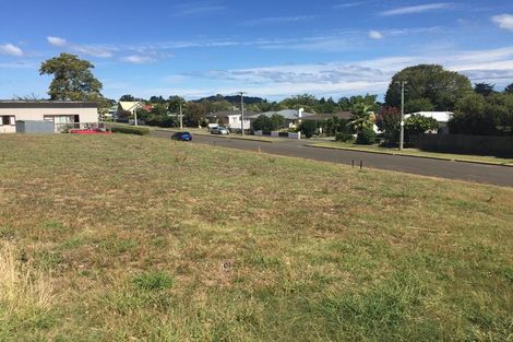 Photo of property in 29 King Street, Mangapapa, Gisborne, 4010