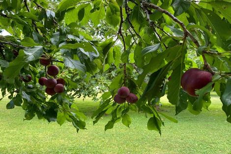 Photo of property in 49 Vista Road, Ohau, Levin, 5570