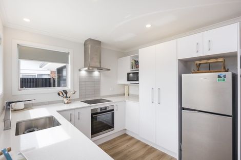 Photo of property in 17c Alfred Street, Roslyn, Palmerston North, 4414