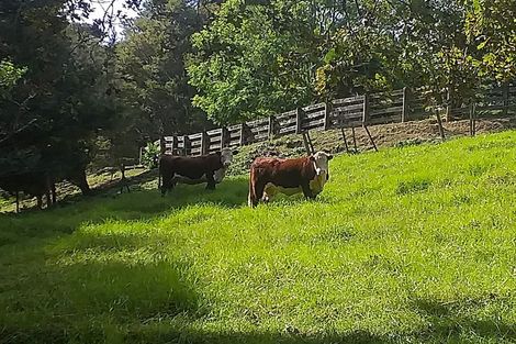 Photo of property in 270 Maunu Road, Horahora, Whangarei, 0110