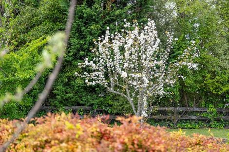 Photo of property in 69c Matangi Road, Matangi, Hamilton, 3284