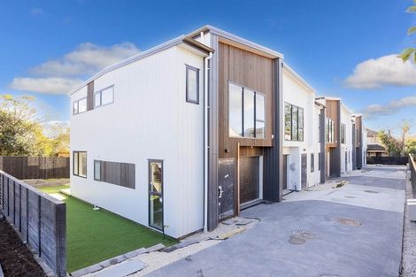 Photo of property in 21a Hazel Avenue, Mount Roskill, Auckland, 1041