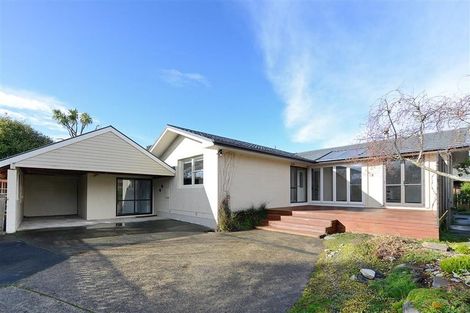 Photo of property in 20a Coughtrey Street, Saint Clair, Dunedin, 9012