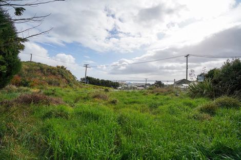 Photo of property in 50 Pearce Street, Bluff, 9814