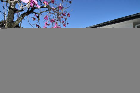 Photo of property in 15 Orme Street, Outram, 9019