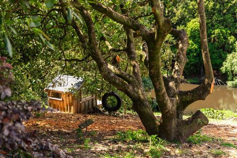 Photo of property in 244 Wharawhara Road, Tahawai, Katikati, 3178