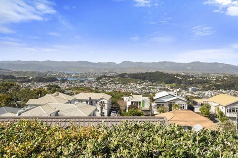 Photo of property in 26 Mana Street, Vogeltown, Wellington, 6021