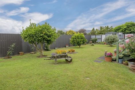 Photo of property in 87 Kennedy Drive, Levin, 5510